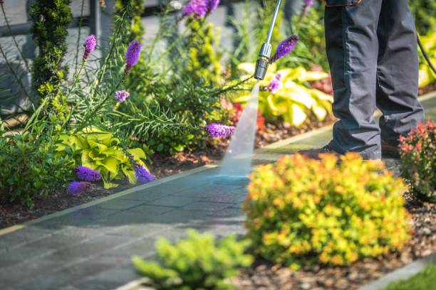 Best Winterizing Services  in Bradley Gardens, NJ